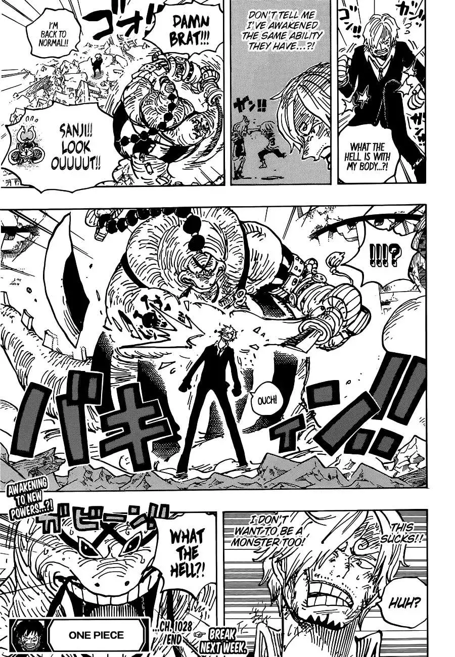 One Piece Chapter 1028 18